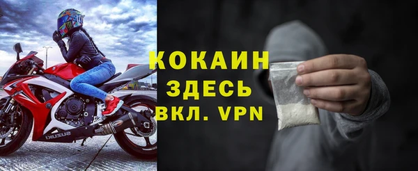 ешки Гусев
