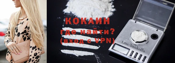 ешки Гусев