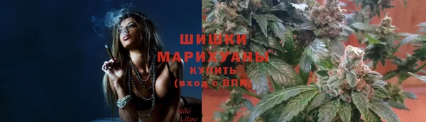 ешки Гусев