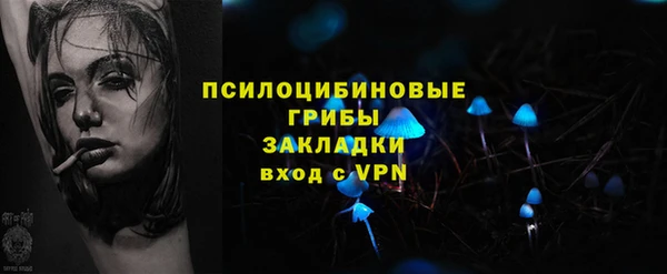 spice Гусь-Хрустальный