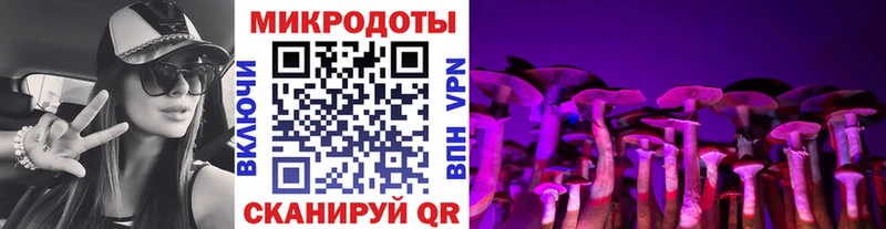 Галлюциногенные грибы Psilocybe  Купить закладки  Киренск 